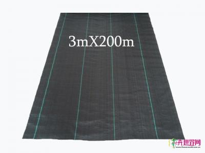 地布（3MX200m）